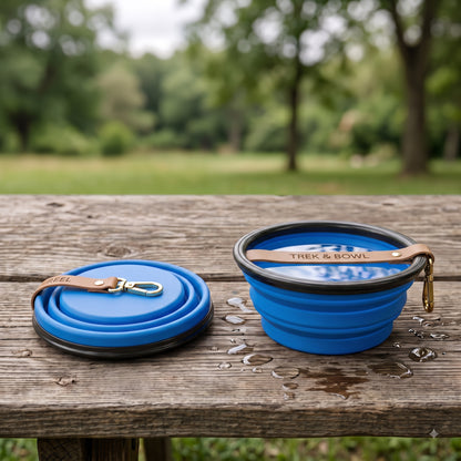 Travel bowl